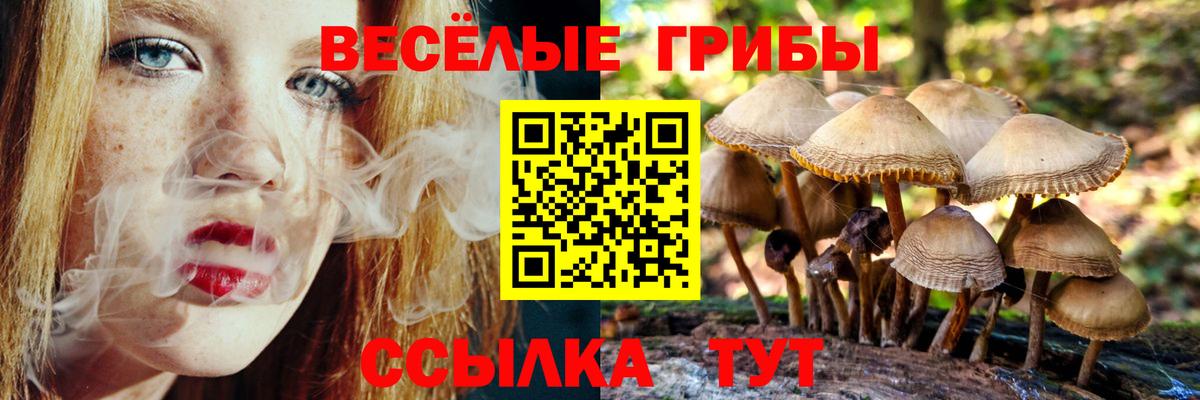 Псилоцибиновые грибы Psilocybine cubensis Аша
