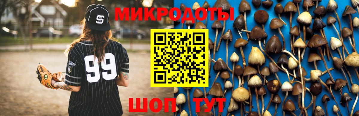 Галлюциногенные грибы Magic Shrooms  Вход с VPN  Аша  Галлюциногенные грибы Psilocybine cubensis 